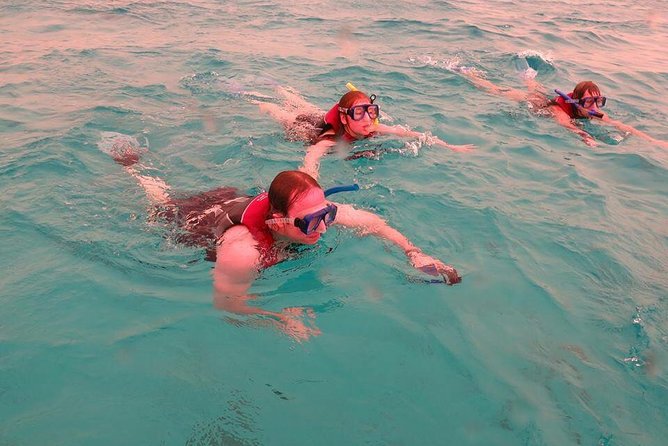 Mahmya Island, Giftun Dream Trip to the Most Beautiful Beach - Booking Instructions