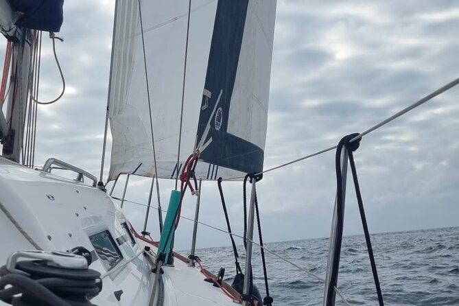 Marbella Banus Sailboat, Dolphins, Drinks and Snacks 3 Hours - Pricing Information