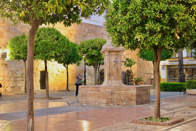 Marbella Old Town: Guided Tapas Tasting Adventure - Frequently Asked Questions