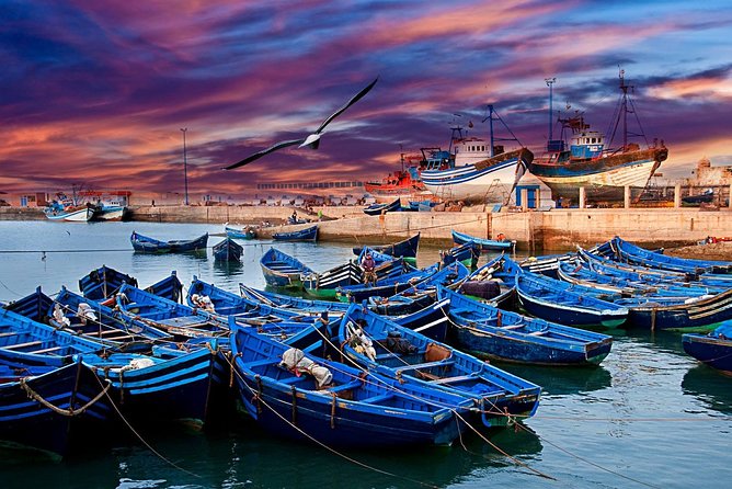 Marrakech to Essaouira Private Full-Day Tour With Lunch - Cancellation Policy