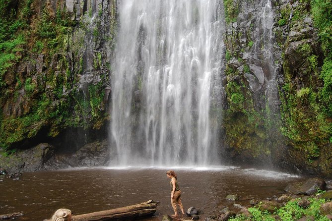 Materuni Village Tour, Waterfalls, Coffee & Culture Excursions - Tour Overview