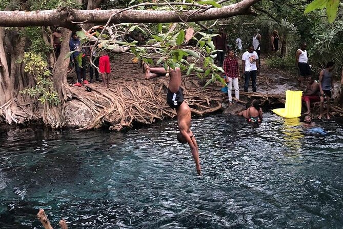Materuni Waterfalls, Coffee Tour and Hot Springs - Booking Logistics