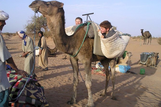 M'Hamid: Overnight in Luxury Desert Camp With Camel Ride, Meals & Sandboarding - Additional Inclusions