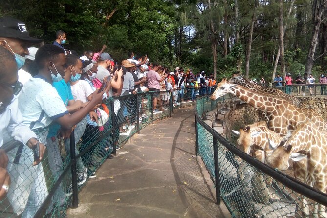 Mombasa Day Tour - Reviews