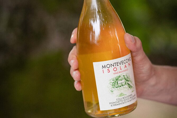 Montevecchio Isolani Wine Tasting Experience - Cancellation Policy and Price