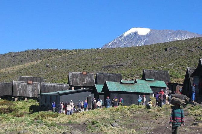 Mount Kilimanjaro Day Hike