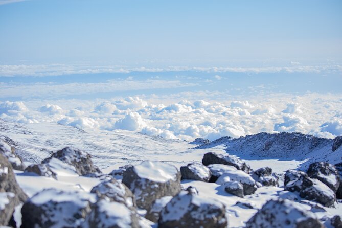 Mount Kilimanjaro Marangu Route 5 Days - The Sum Up and Recommendations