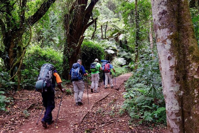 Mt Kilimanjaro Climbing; 7 Days Lemosho Route - Frequently Asked Questions