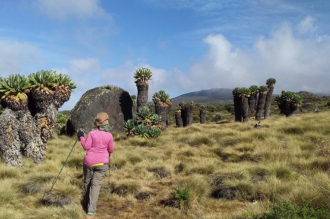 Mt. Kilimanjaro Trekking, 6 Days Marangu Route - Safety Measures
