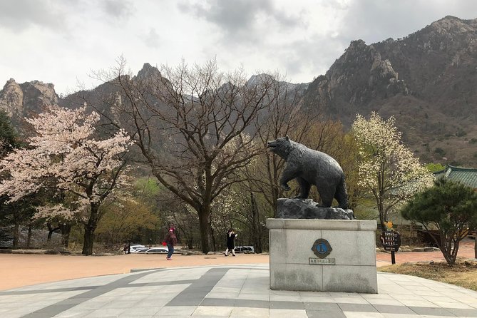 Mt. Seorak+Nami Island+Garden of Morning Calm Day Trip From Seoul - Highlights