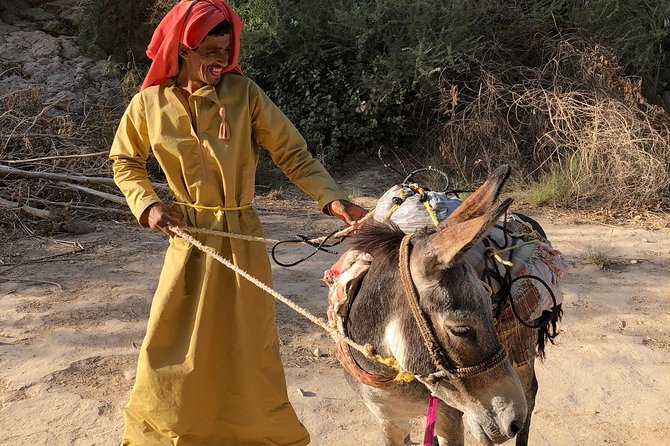 Muscat City and Wadi Shab Private Full Day Tour - Pricing and Reviews