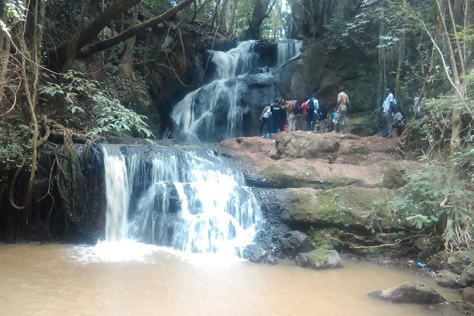 Nairobi Day Tour to Karura Forest Hike, Trail Bike & Nature Walk - Tour Experience