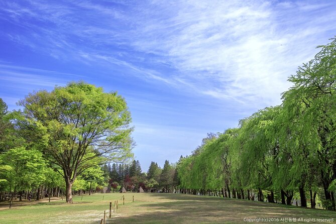 Nami Island & Mount Seorak Day Trip From Seoul - Inclusions