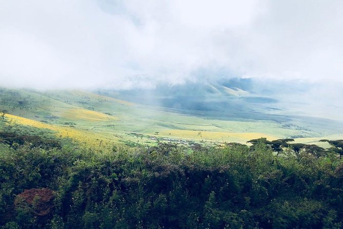 Ngorongoro National Park and Game Drive: Guided Day Tour From Arusha - Wildlife Spotting