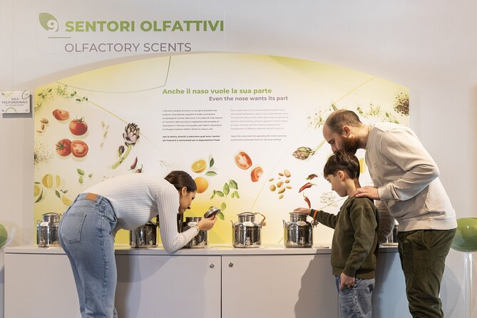 Oil Museum and Oil Mill in Tuscany: Tour and Tasting - Highlights