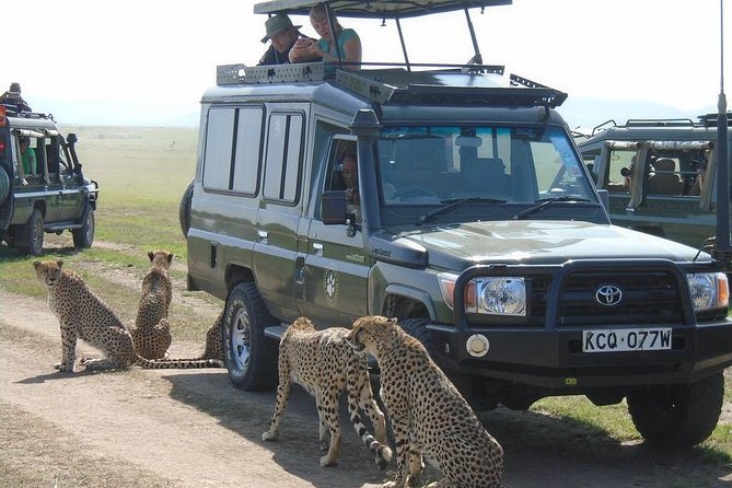 Olpejeta, Lake Naivasha, Masai Mara 5 Days Private Kenya Jeep Tour - Itinerary