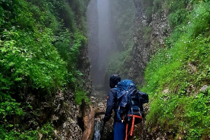 One Day Hiking in Bucegi Natural Park-Private Day Tour From Brasov - Reviews