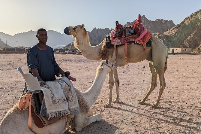 One Hour Camel Riding Adventure With Transfer in Hurghada - Transfer Fees