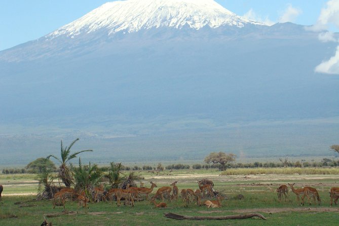 Overnight Tour to Amboseli National Park - Accommodations