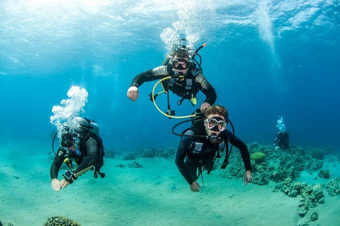 PADI Course Open Water Scuba Diving and Diving License Fees - Marsa Alam - Certification Process