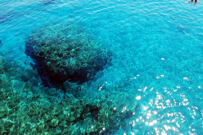 Pafos Zoo Visit & Blue Lagoon Cruise With Local Guide Limassol - Booking Information