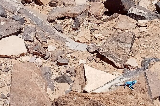 Petra Back-Road Trail and Hike - Visitor Recommendations