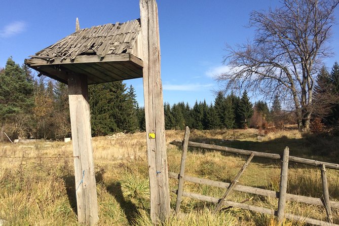 POIANA BRASOV and POSTAVARU CHALET Ebike Tour (BRASOV) - Reviews