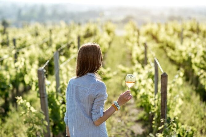 Pompeii & Bosco De Medici Winery Skip the Line From Sorrento - What To Expect