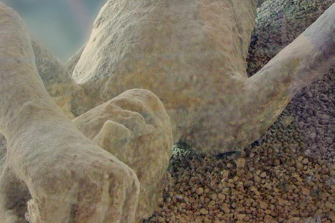 Pompeii Experience Half Day – Skip the Line
