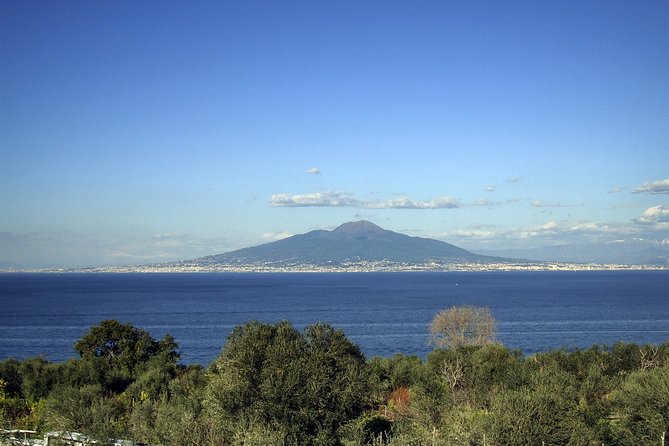 Pompeii, Food and Wine - Ancient Food Practices in Pompeii