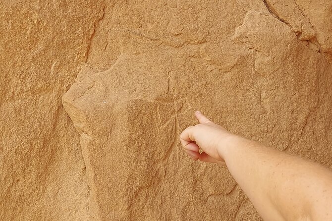 Private 12 Day Discover the Secrets of Sinai Tour - Itinerary Highlights