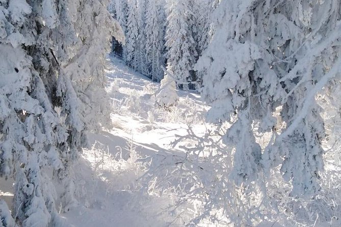 Private 2-Day Trip With Snowshoes - Inclusions and Exclusions