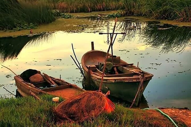 Private 3-Day Tour Danube Delta Birdwaching and Safari Experience From Bucharest - The Sum Up