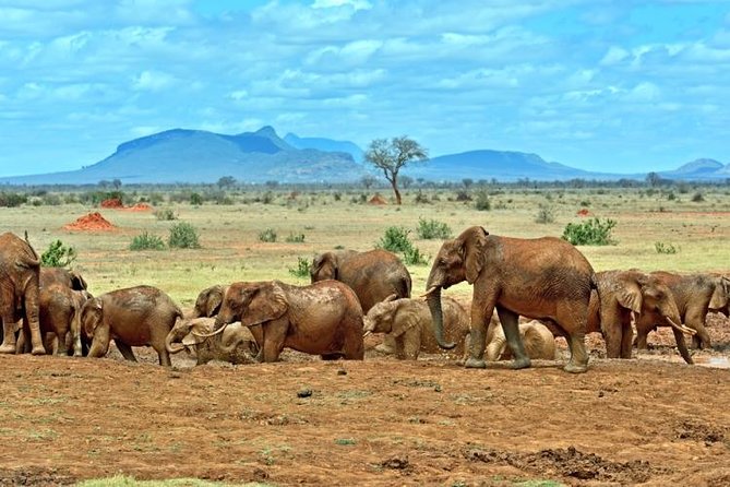 Private 3-Day Tsavo Safari From Mombasa - Inclusions and Exclusions