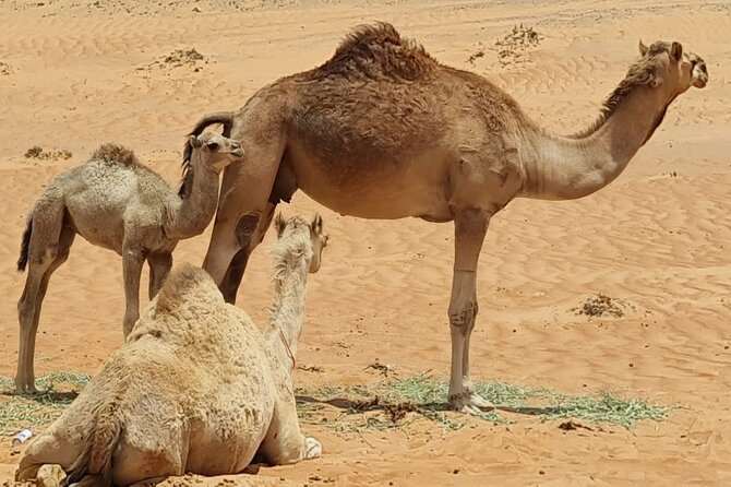 Private 5 Days 4 Night Roundtrips Tour - Meeting and Pickup Details