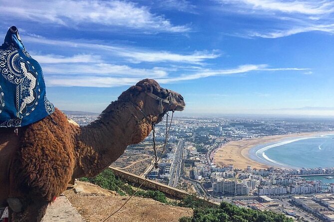 Private Agadir City Tour & Argan Oil Fabric - Frequently Asked Questions