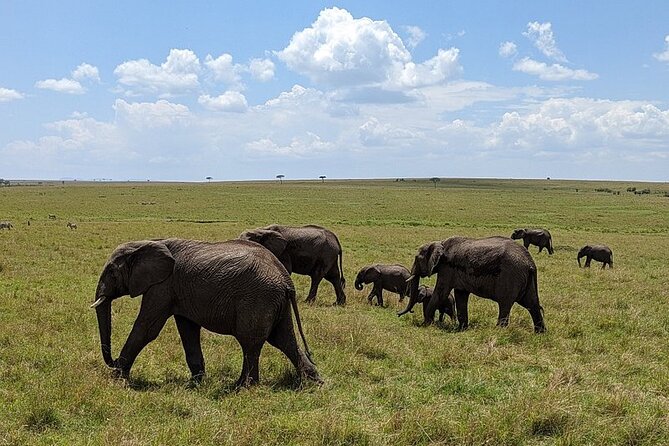 Private Amboseli Overnight Tour - Pickup Information