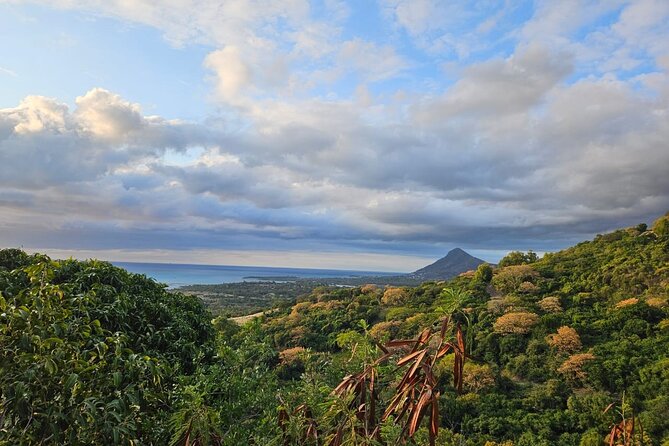 Private and Guided Tour of Mauritius South - Booking and Reservation
