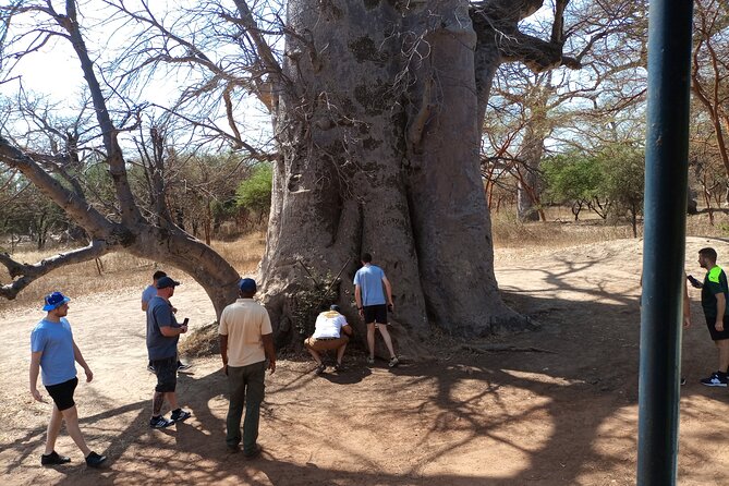 Private Bandia Wildlife Safari Day Trip. 2 for the Reservation - Accessibility Information