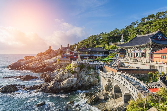Private Busan Tour With Hidden Gem of Busan by Local Guide - Traveler Reviews