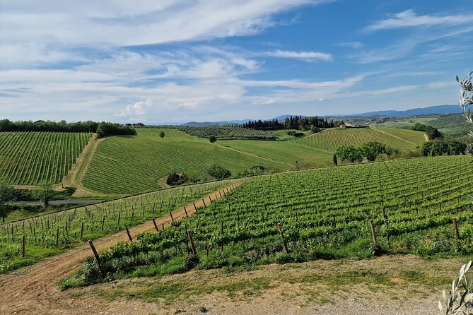 Private Chianti Wine Tours Pickup From the Countryside of Chianti - Whats Included in the Tour