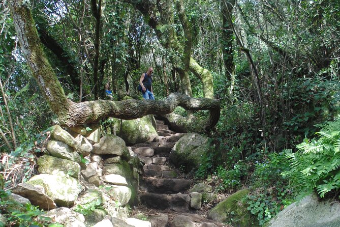 Private Day Tour From the Centre to the Highest Point in Sintra. - The Sum Up