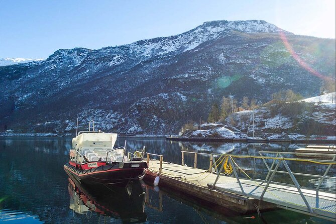 Private Day Tour to Flåm, Incl RIB Sognefjord Safari Flåm Railway - Booking Details