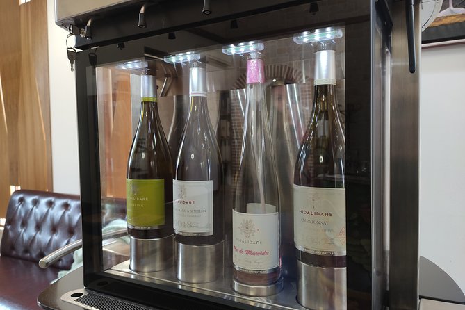 Private Day Trip From Plovdiv To Wine Cellars And Wine Tasting - Summary
