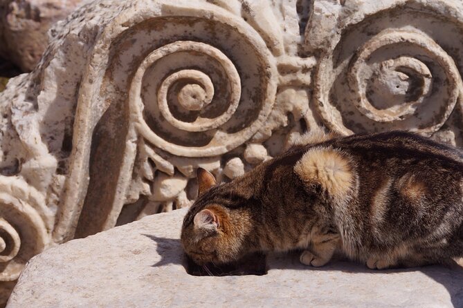 Private Ephesus and Virgin Marys House Tour From Kusadasi Port - Directions and Tips