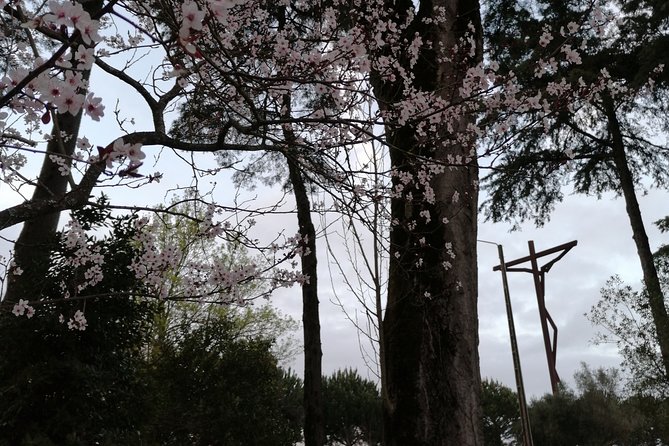 Private Experience to Fatima, Aljustrel and Valinhos With Picnic From Lisbon - Cancellation Policy