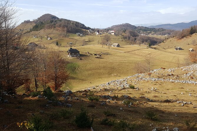 Private Full-Day Bran Castle Tour With Lunch From Brasov - Tour Highlights