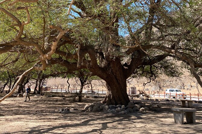 Private Full-Day East Oman Tour From Salalah With Lunch - Meeting and Pickup Details