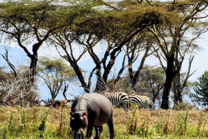 Private Full Day Tour in Lake Naivasha - Scheduling