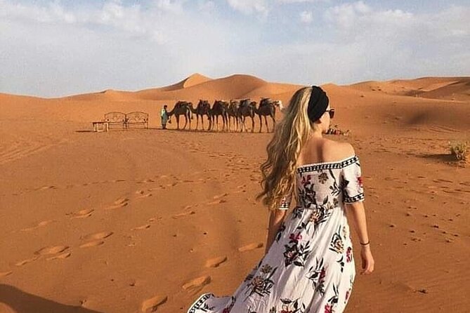 Private Full Day Tour in Massa Morocco With Lunch - Location